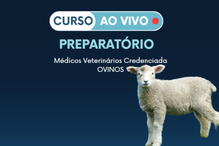 Imagem MEDICO VETERINARIO CREDENCIADA - OVINOS