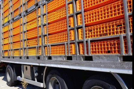 Imagem BEM-ESTAR ANIMAL - TRANSPORTE