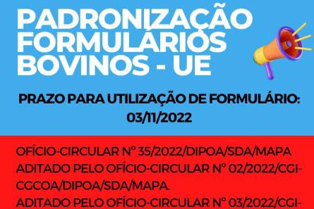 Imagem PADRONIZAÇÃO FORMULÁRIO UNIÃO EUROPEIA