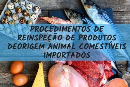 Imagem INSTRUÇÃO NORMATIVA Nº 118, DE 11 DE JANEIRO DE 2021