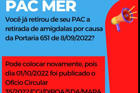 Imagem Ofício Circular 35/2022/CGI/DIOA/SDA/MAPA - MER necessidade de retirada de amígdala