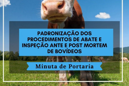 Imagem Minuta de Portaria Bovinos - Padronização dos Procedimentos de Abate e Inspeção Ante e Post Mortem de Bovinos