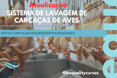 Imagem Termo de Objeção nº 2/2024 sobre o Sistema de Lavagem de Carcaças anterior à Inspeção Post Mortem.