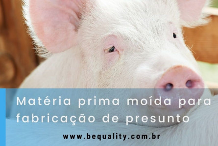 Imagem OFÍCIO-CIRCULAR Nº 23/2021/CGI/DIPOA/SDA/MAPA