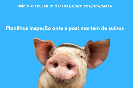 Imagem OFÍCIO-CIRCULAR Nº 25/2021/CGI/DIPOA/SDA/MAPA