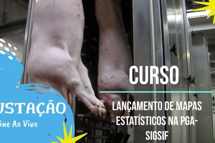 Imagem Trecho do Curso Lançamento de Mapas Estatísticos na PGA-SIGSIF