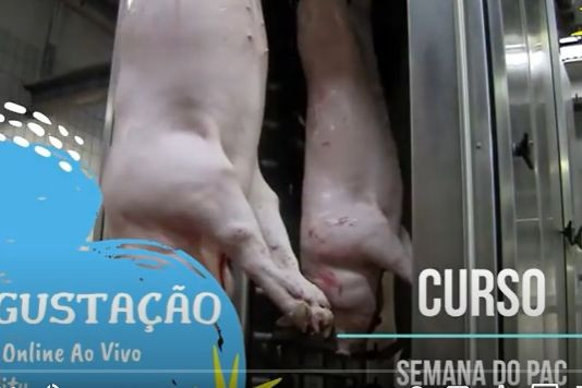 Imagem trecho do CURSO SEMANA DO PAC